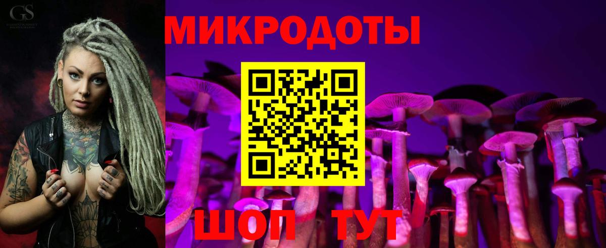 Псилоцибиновые грибы Cubensis  закладки  Зеленогорск  Вход с VPN 