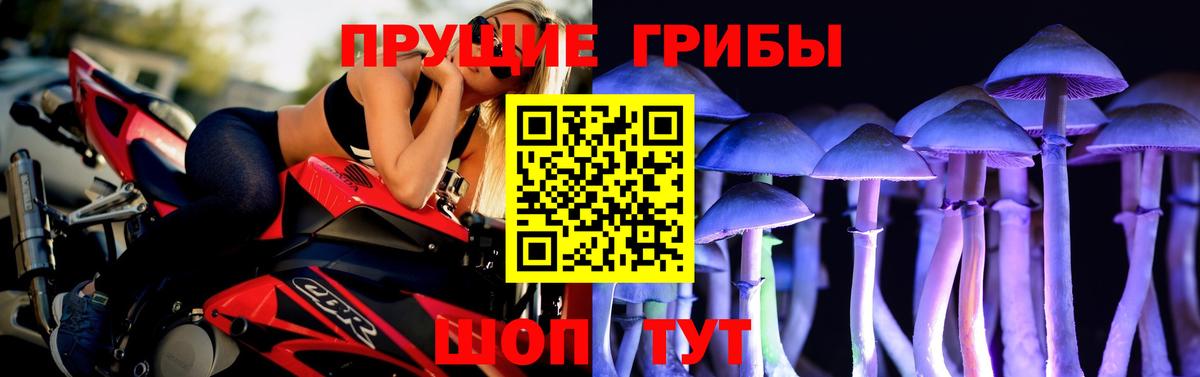 Галлюциногенные грибы ЛСД Зеленогорск