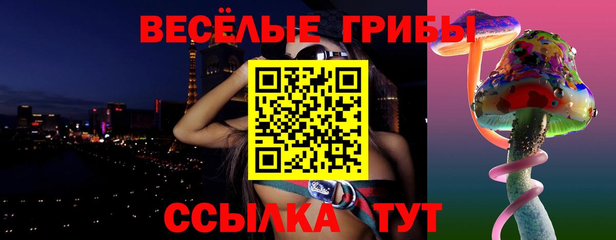 МЕТАДОН Зеленогорск